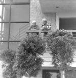 Joe Gold and Dave Draper at World Gym Venice, 1992.