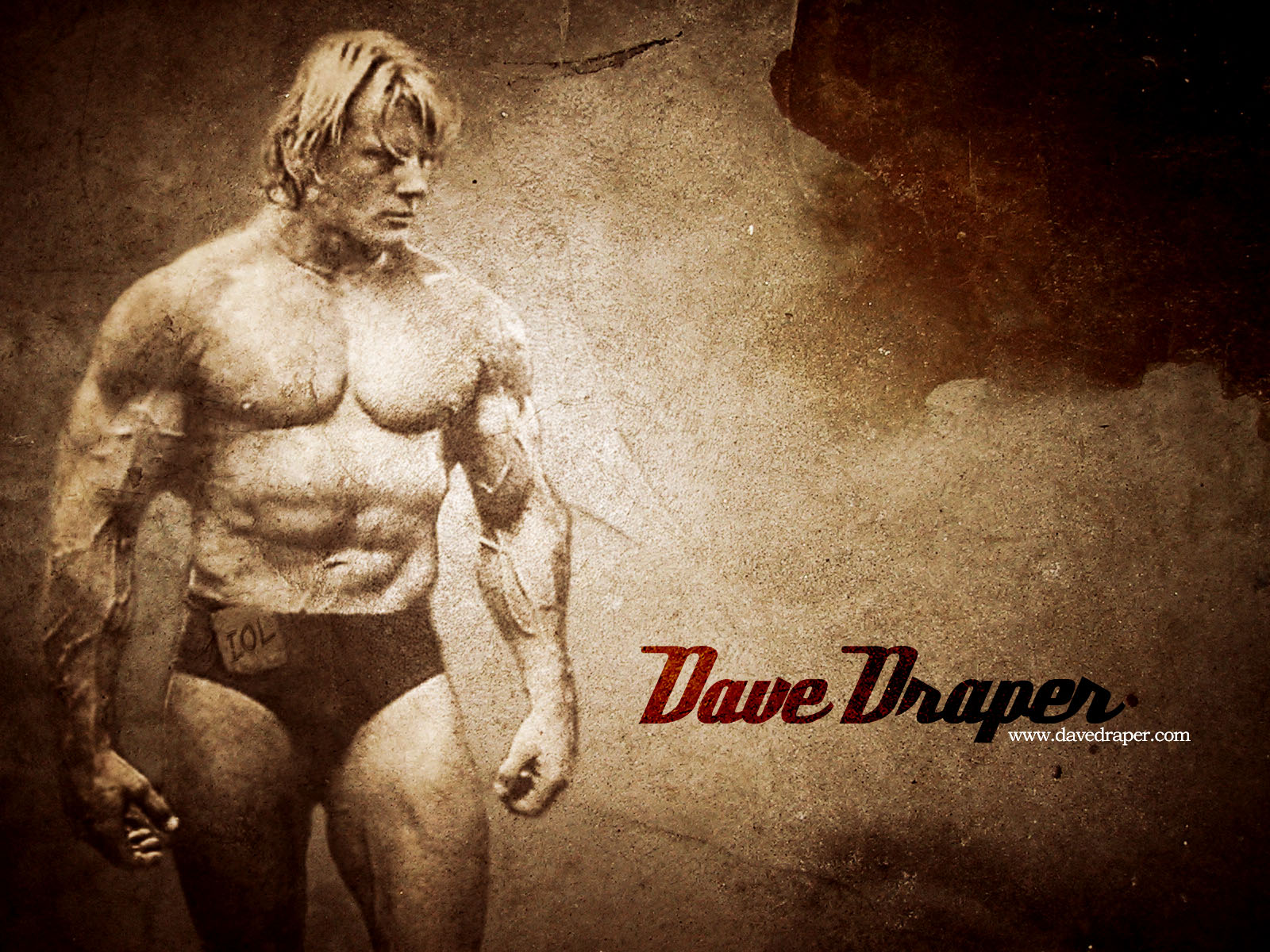 48+] Bodybuilder Wallpaper Desktop - WallpaperSafari